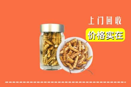 鹤岗市萝北回收散虫草