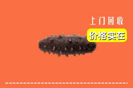 鹤岗市萝北回收海参