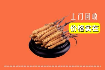 鹤岗市萝北回收冬虫夏草